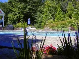Signature Pool & Spas photo 5
