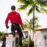 Mission Pest Control photo 6