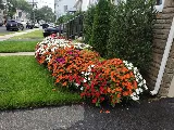 Excellent Landscaping Llc