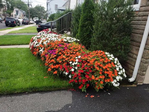 Excellent Landscaping Llc photo 1