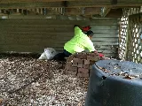 Enviro-Pro Professional Pest Management, Inc photo 6