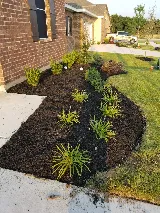 JT Lawn Service photo 2
