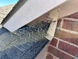 Preferred Pest Management photo 8