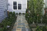 Solo Landscape photo 3