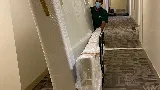 Denver Door To Door Movers LLC dba Lark Movers photo 5