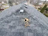 Critter Control Dallas Ft Worth photo 3
