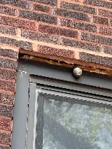 Chicago Pests, LLC photo 8