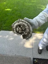 Bulwark Exterminating photo 5