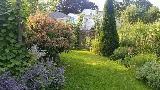Old World Garden Design photo 7