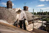 Spokane ProGuard Pest Removal photo 8