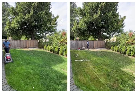 Basil Green Landscaping in Burnaby