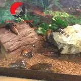 Luke's Pest Control photo 8