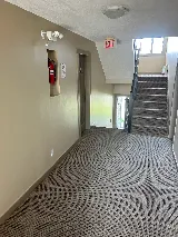 Pro Co Painting photo 8