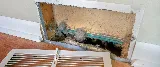 Precision Air, Inc. photo 7