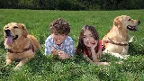Lawn Plus Pest Control Services