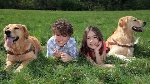 Lawn Plus Pest Control Services in West Chester