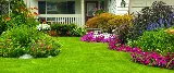 LANDSCAPING & HOUSEKEEPING IN MORENO VALLEY MIMI'S