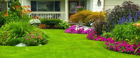 LANDSCAPING & HOUSEKEEPING IN MORENO VALLEY MIMI'S photo 1