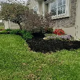 BMF Lawn Care LLC photo 3