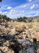 Landscape Pro photo 3