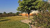 Trimmers Professional Landscaping photo 3