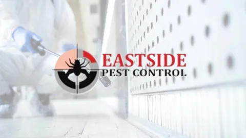 Eastside Pest Control Vancouver in Vancouver