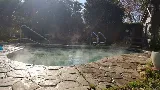 Panda Pools photo 7