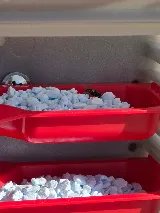X O Pest Control photo 5