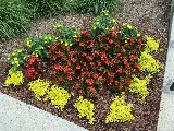 New Garden Landscaping & Nursery photo 6