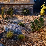 Down to Earth Landscaping photo 7