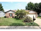 Lawn Mex Inc and Tree Service photo 4