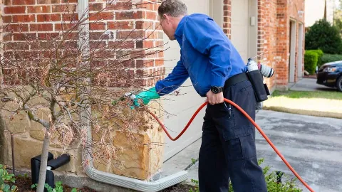 Pest Solutions of North Texas in Frisco