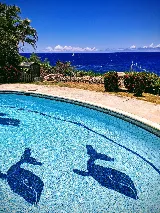 Koko Head Pool Service photo 4