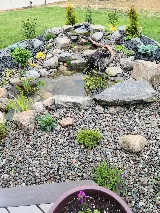Palmer Landscape Design photo 6