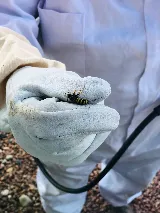 High Country Pest Control photo 8