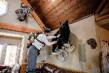 Pro Pest & Wildlife Control Services photo 8