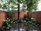 Metropolitan Garden Design photo 5