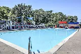EverReady Pool Services photo 4