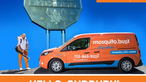 Mosquito.buzz in Sudbury