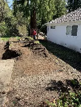 Ledezma Landscaping Llc photo 6