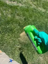 Greenix Pest Control photo 3