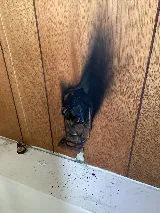 Mister Sparky® of Huntsville photo 8