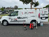 Dr. Pest