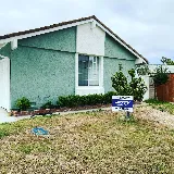 Jetty Termite & Pest Control photo 8