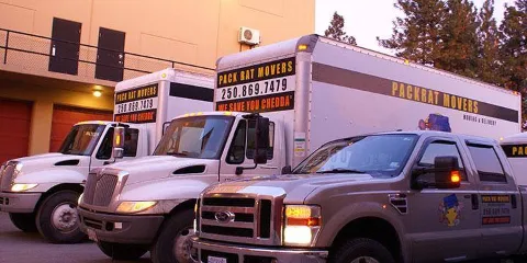 Packrat Movers Vernon photo 1