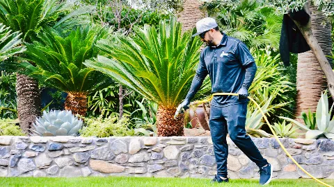 Fromms Pest Control photo 1