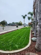 Landscaping & Gardening service photo 6