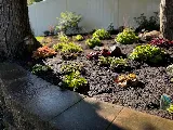 All Seasons Landscaping photo 6