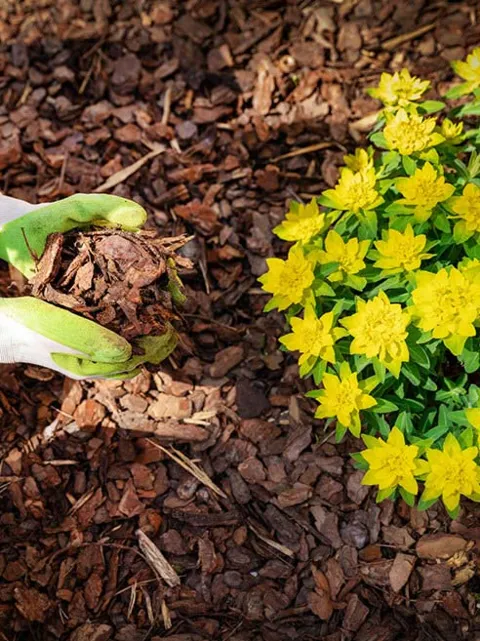 R & B Landscaping, LLC in Newark