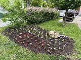 Paul Henry Landscaping photo 4